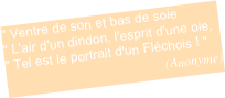 " Ventre de son et bas de soie
" L'air d'un dindon, l'esprit d'une oie,
" Tel est le portrait d'un Fléchois ! "
(Anonyme) 